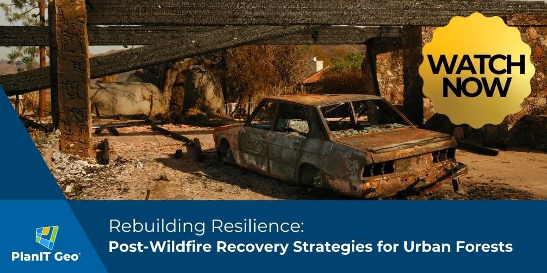 Rebuilding Resilience: Post-Wildfire Recovery Strategies for Urban Forests On Demand Webinar from PlanIT Geo