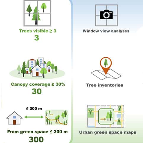 The 3+30+300 Rule: How Data and Mapping Tools Are Transforming Urban Forestry