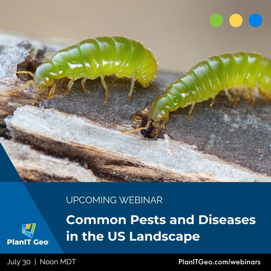 Common Pests and Diseases in the US Landscape Upcoming Webinar