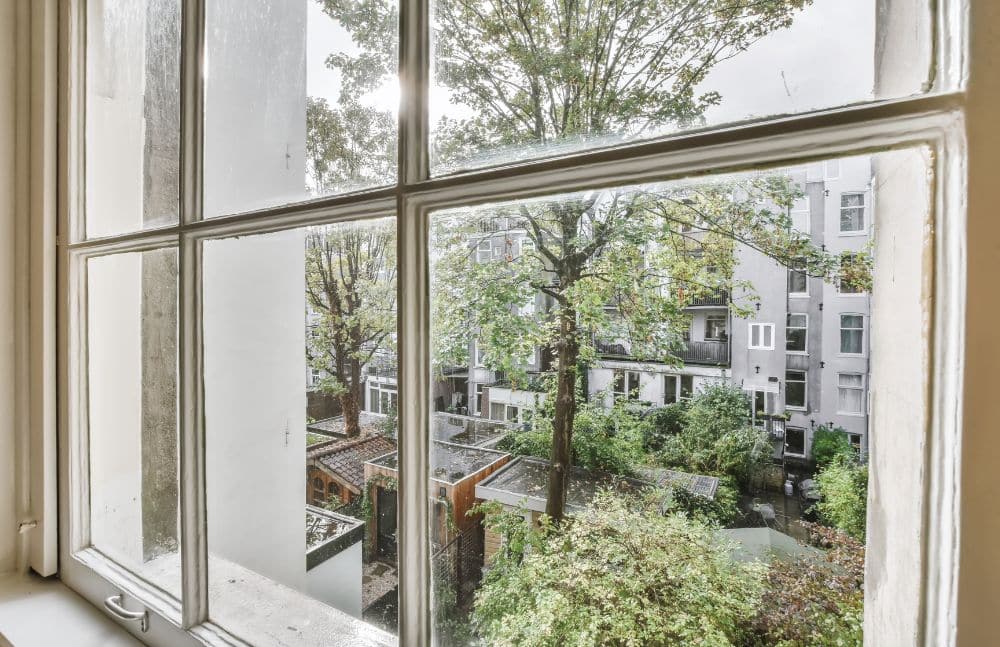 A tree canopy within 10 meters can reduce daytime air temperature by up to 1.7°C (3°F).
