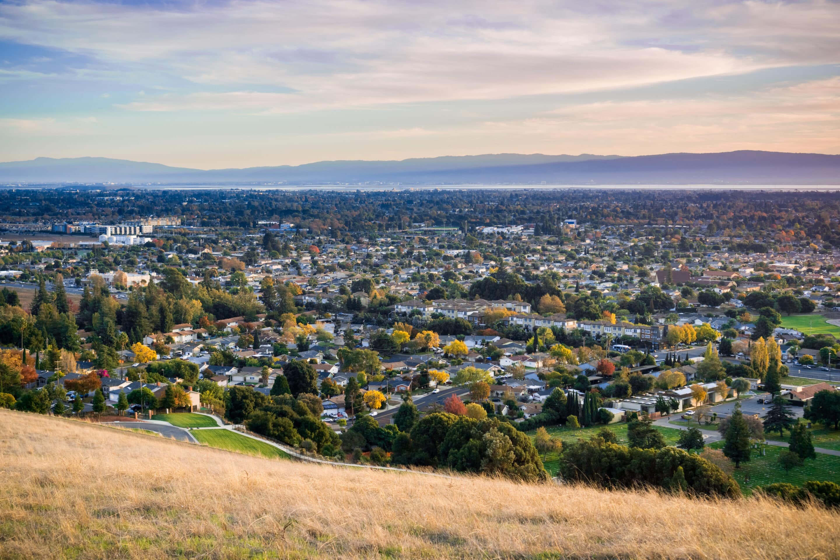 Fremont has developed an ambitious goal to increase its urban tree canopy from approximately 14–15% to 24% over the next 40 years