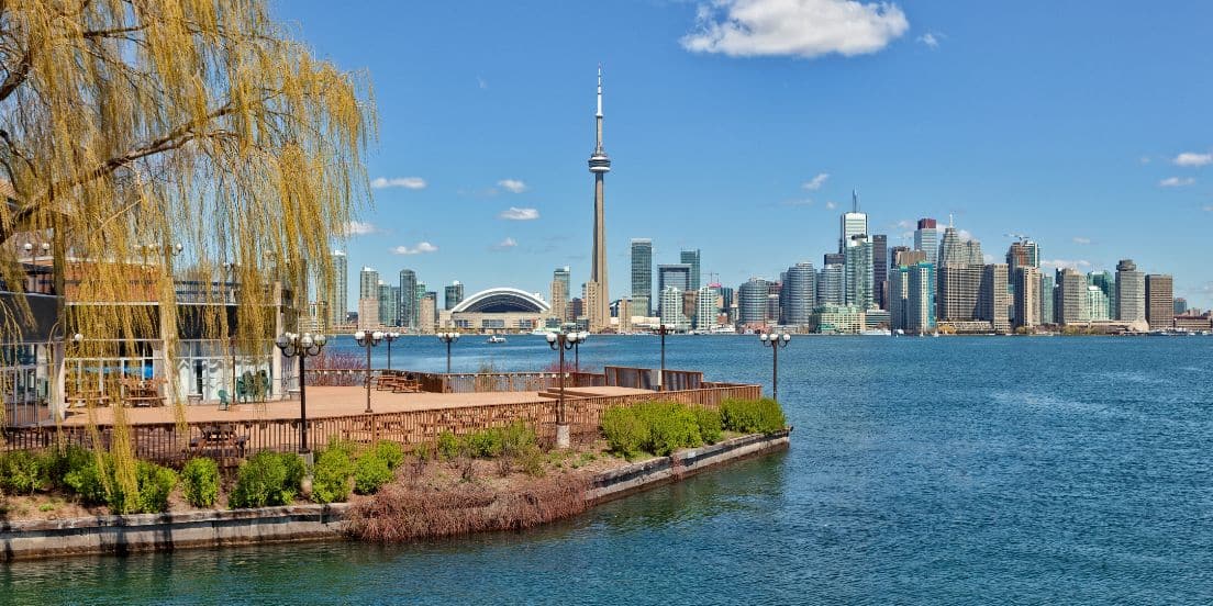 Toronto Trees + Tech summit