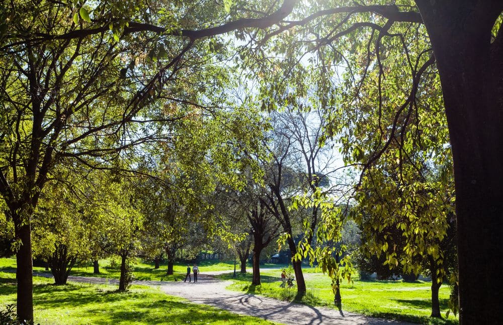 Urban parks and green spaces can be up to 5.6°C (10°F) cooler than surrounding built-up areas.