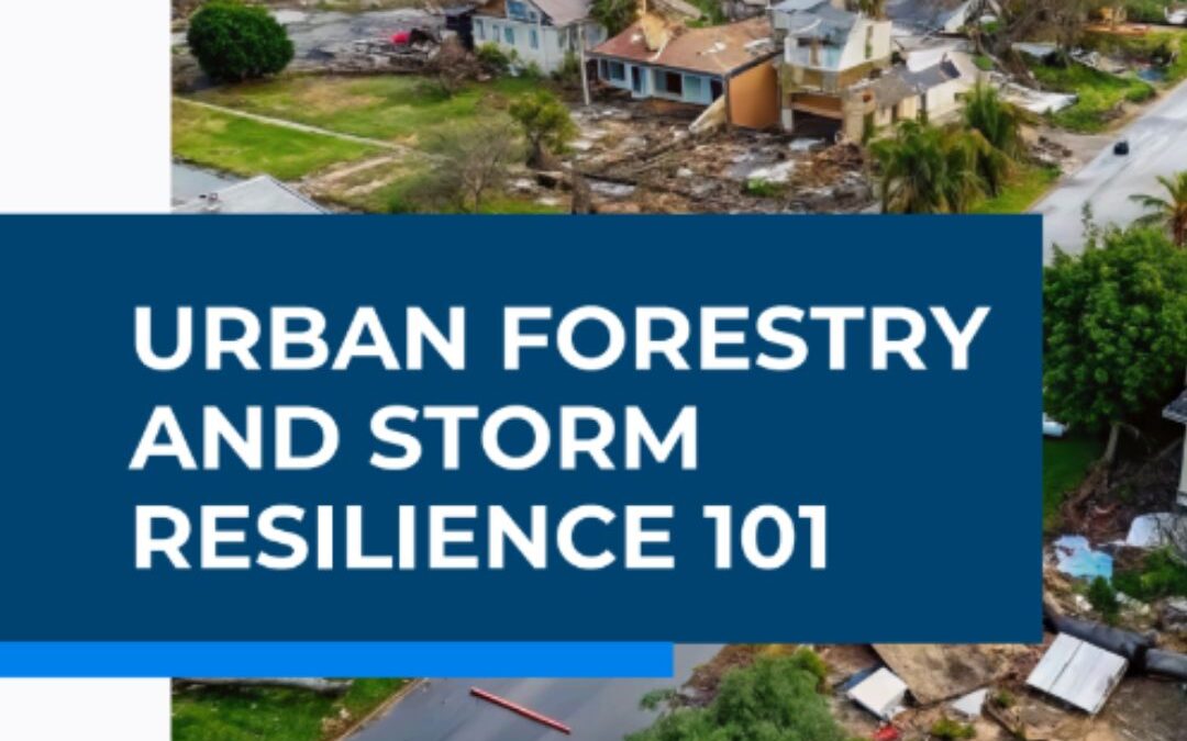 URBAN FORESTRY AND STORM RESILIENCE 101