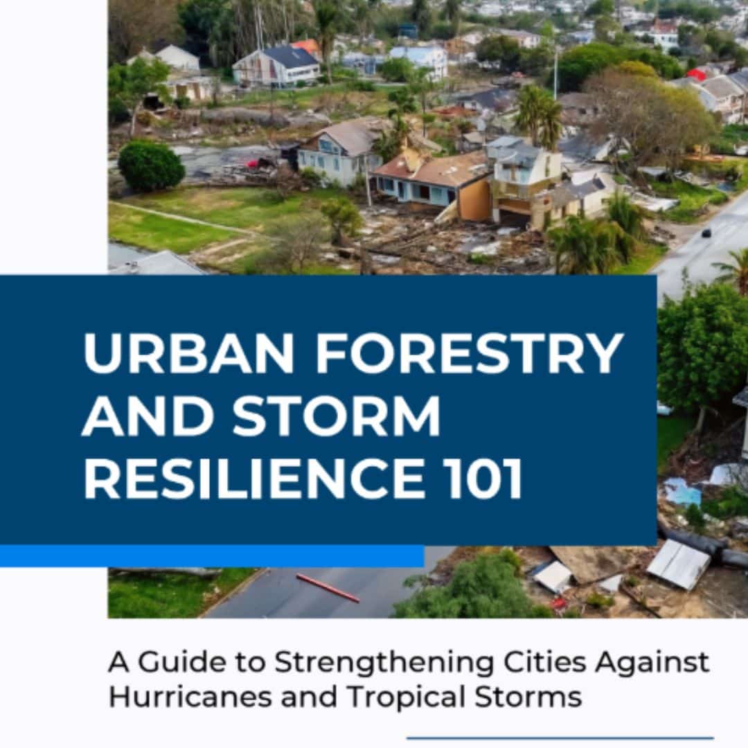 URBAN FORESTRY AND STORM RESILIENCE 101 Free ebook