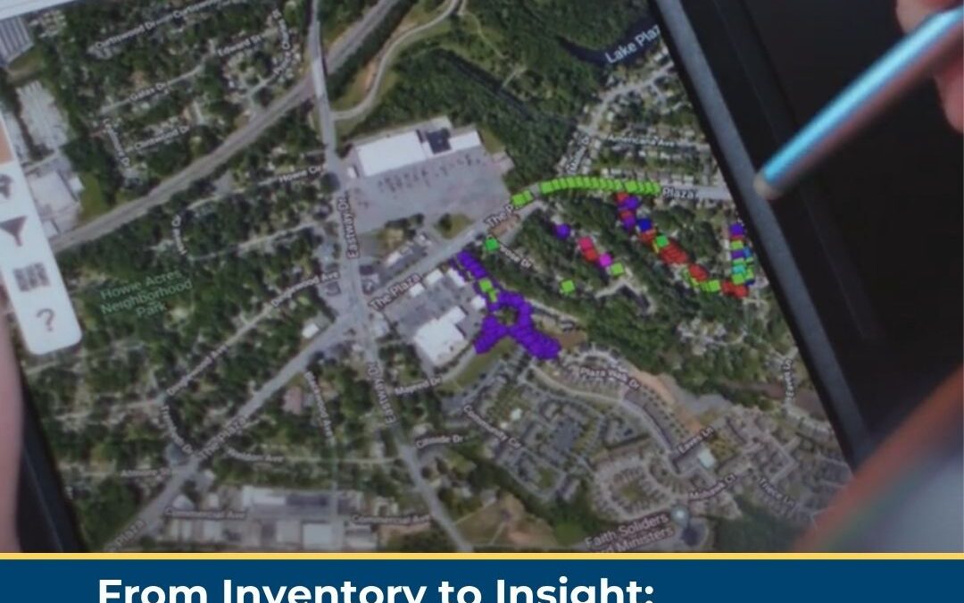 From Inventory to Insight: How Onward Uses TreePlotter to Power Greenspace Management