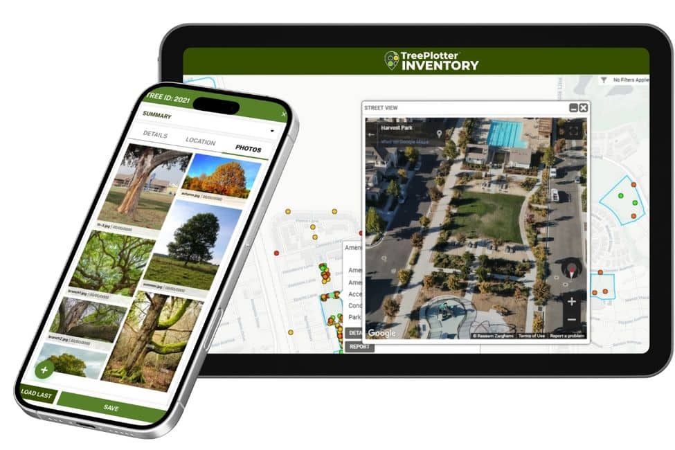 Filtering for Disadvantaged Areas with below average Urban Tree Canopy.