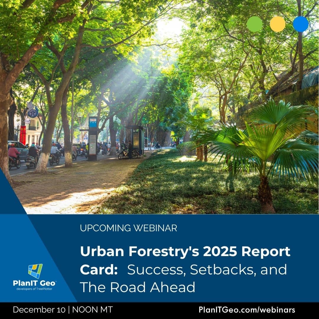2025 Urban Forestry Report Card Success Setbacks and the Road Ahead