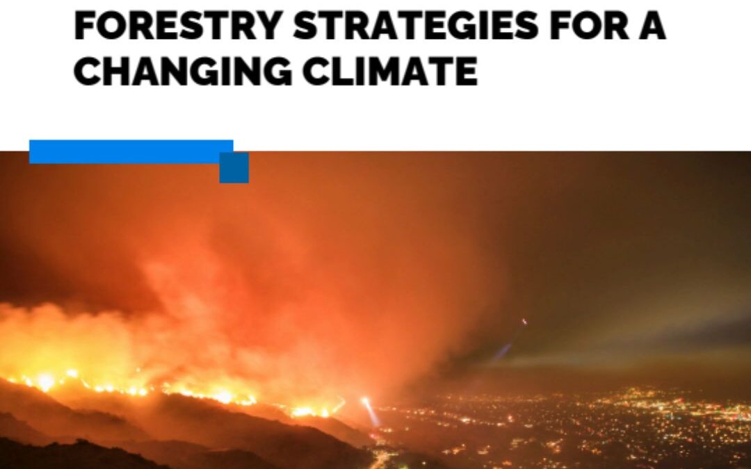 WILDFIRE RESILIENCE: URBAN FORESTRY STRATEGIES FOR A CHANGING CLIMATE