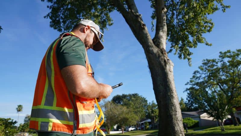 Computerised Tree Inventory TreeD Hybrid Tree Inventory | PlanIT Geo™
